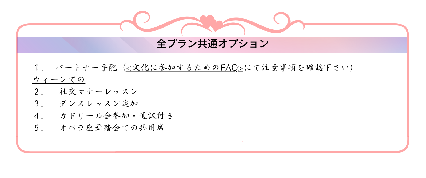 舞踏会参加プラン